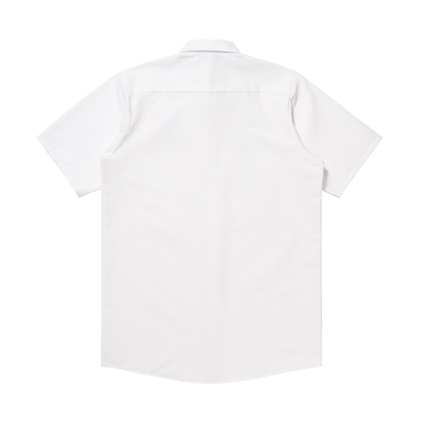 WORK BUTTON DOWN SHIRT